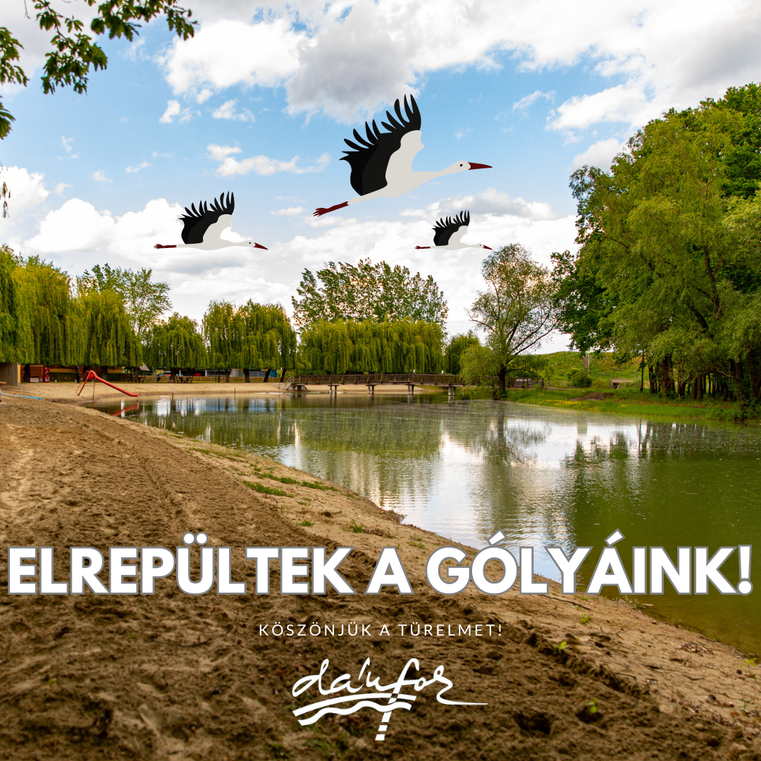 Elrepültek a gólyáink!